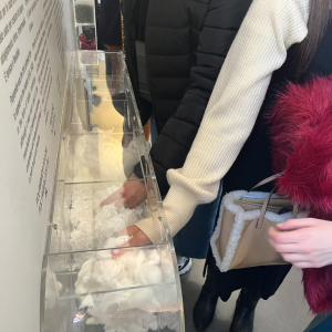 Copia di Nami Instagram 2022 - MUSEO TESSUTO (8)